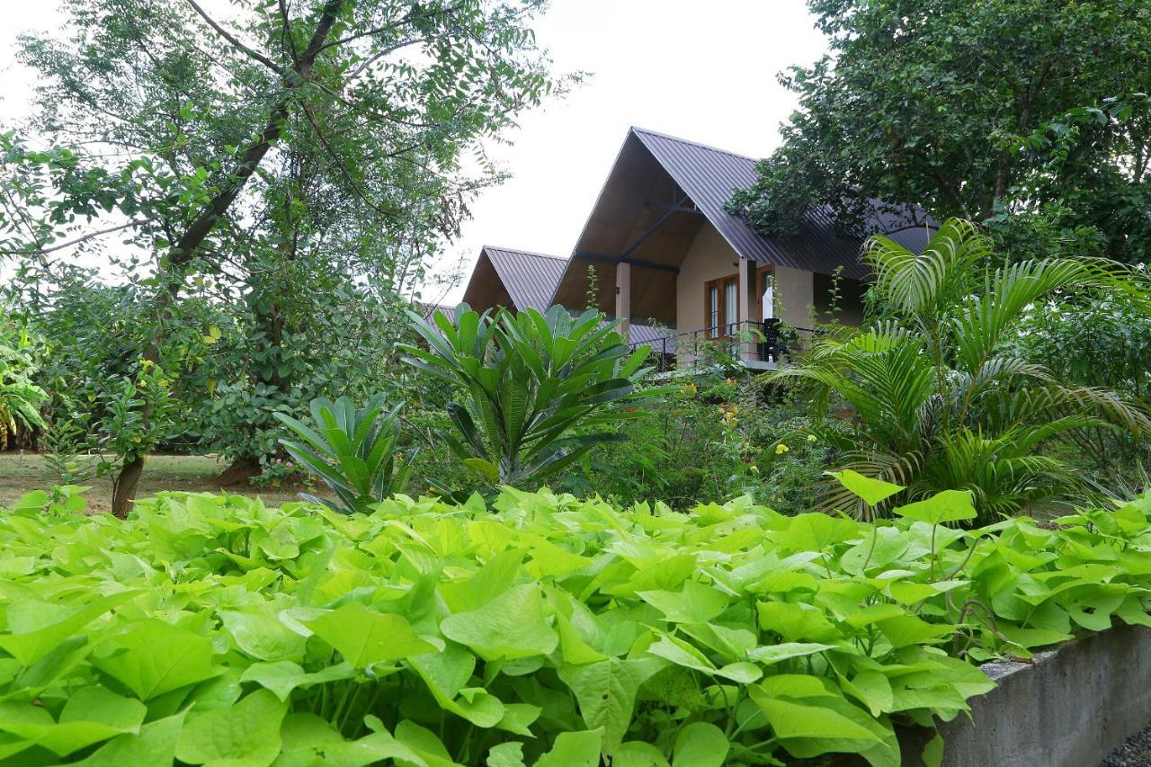 Hantara Udawalawa Udawalawe Ngoại thất bức ảnh